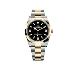 Rolex Explorer 36mm 18k Yellow Gold and Stainless steel (2024) 124273-0001